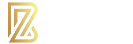 BNPL Report