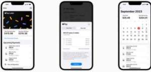 Apple Pay Later screens