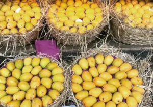 BNPL for mangoes in India