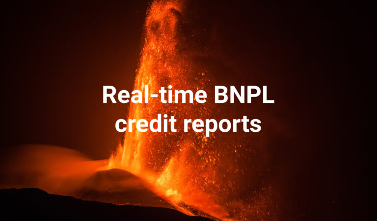 BNPL credit reports NZ