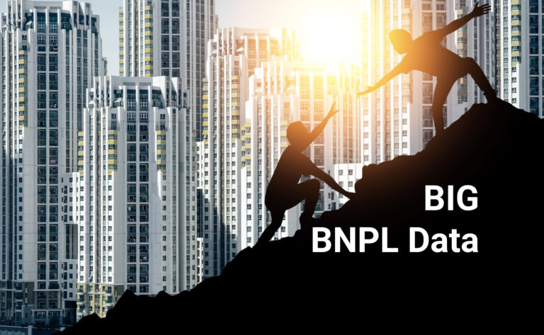 big BNPL research data