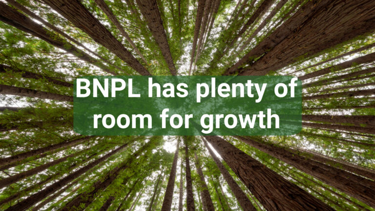 BNPL room for growth
