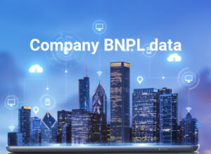 Company BNPL research data